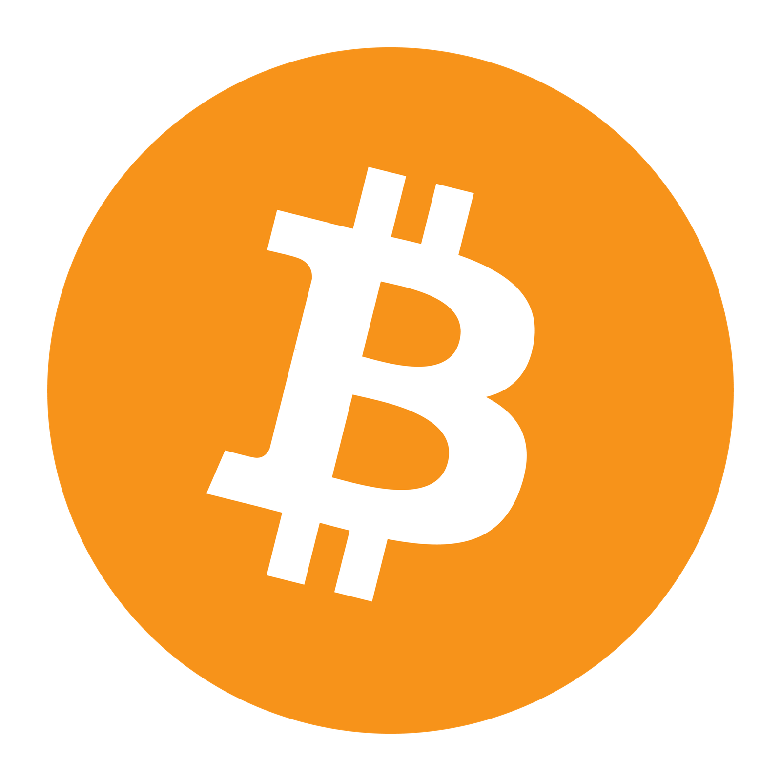Logo oficial de Crypto Signal BOT - Señales avanzadas de trading en Bitcoin y criptomonedas